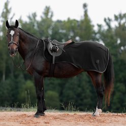 Equinavia Koselig Fleece Horse Quarter Sheet, Black, Small slide 1 of 7