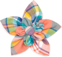 The Worthy Dog Plaid Flower Dog Collar Accessory, Peach Multicolored, Large