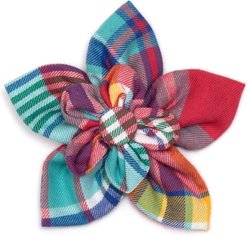 The Worthy Dog Plaid Flower Dog Collar Accessory, Coral Multicolored, Small