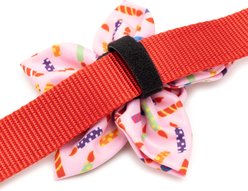The Worthy Dog It's My Birthday Flower Dog Collar Accessory, Pink, Small slide 2 of 3