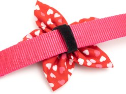 The Worthy Dog Cupid Flower Dog Collar Accessory, Red, Small slide 2 of 3