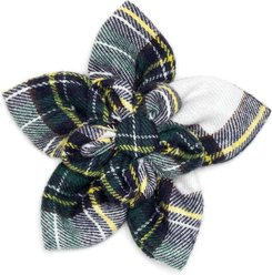 The Worthy Dog Stewart Tartan Flower Dog Collar Accessory, Green, White, Small