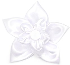 The Worthy Dog I Do Flower Dog Collar Accessory, White, Large