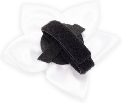 The Worthy Dog I Do Flower Dog Collar Accessory, White, Large slide 2 of 3