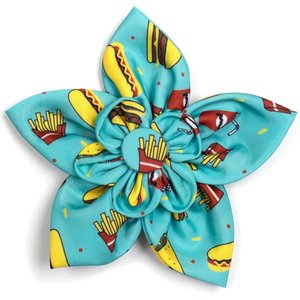 The Worthy Dog Food Fest Flower Dog Collar Accessory, Turquoise, Small
