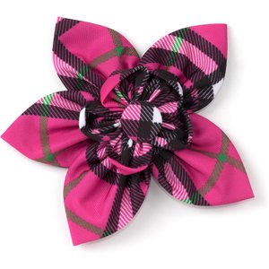 The Worthy Dog Bias Plaid Flower Dog Collar Accessory, Pink, Small