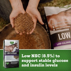 Buckeye Nutrition Low 'N Steady Low Sugar Low Starch & Low Calorie Ration Balancer, 40-lb bag