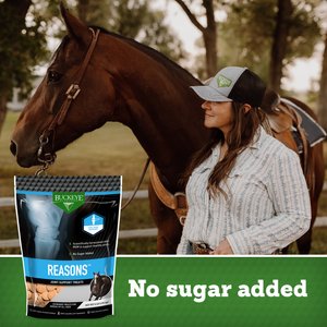Buckeye Nutrition Reasons No Sugar Added Joint Support Horse Treats, 4-lb bag