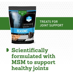 Buckeye Nutrition Reasons No Sugar Added Joint Support Horse Treats, 4-lb bag