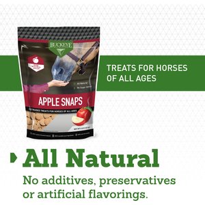 Buckeye Nutrition All-Natural No Sugar Added Apple Snaps Horse Treats, 4-lb bag
