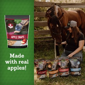 Buckeye Nutrition All-Natural No Sugar Added Apple Snaps Horse Treats, 4-lb bag