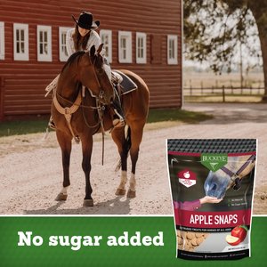Buckeye Nutrition All-Natural No Sugar Added Apple Snaps Horse Treats, 4-lb bag