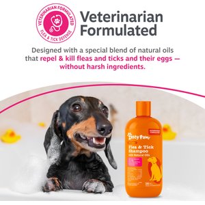 Zesty Paws Flea & Tick Veterinary Formulated Soothing Deodorizing Shampoo for Dogs, 16-fl oz bottle