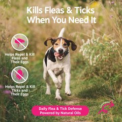 Zesty Paws Flea & Tick Veterinary Formulated Soothing Spray for Dogs, 16-fl oz bottle slide 2 of 9