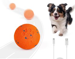 allforpaws Wag Play Waggy Bouncing Dog Ball Toy, Orange