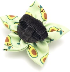The Worthy Dog Avocados Flower Dog Collar Accessory, Green, Large slide 2 of 3