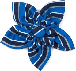 The Worthy Dog Prep Stripe Flower Dog Collar Accessory, Blue, Large