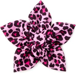 The Worthy Dog Leopard Flower Dog Collar Accessory, Pink, Small