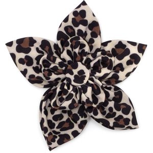 The Worthy Dog Leopard Flower Dog Collar Accessory, Tan, Small