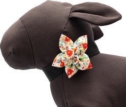 The Worthy Dog Celebrate Flower Dog Collar Accessory, White, Small slide 2 of 3
