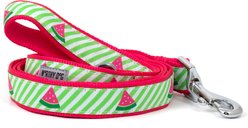 The Worthy Dog Stripe Watermelon Dog Leash, Green/White, Large: 5-ft long, 1-in wide