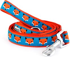 The Worthy Dog Foxy Dog Leash, Blue, Small: 5-ft long, 5/8-in wide