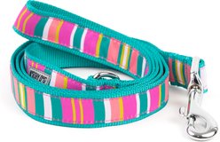 The Worthy Dog Fiesta Stripe Dog Leash, Teal Multicolored, Small: 5-ft long, 5/8-in wide