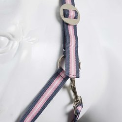 Horze Horse Web Halter Set, 3 count, Pink Nectar, Cob slide 2 of 6