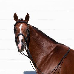 Equinavia Saga Horse Double Bridle with Reins, Black, Warmblood
