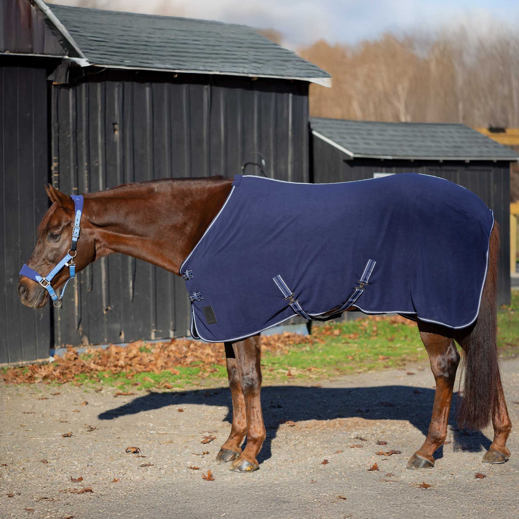 Equinavia Norse Fleece Horse Cooler, Navy, 80-in