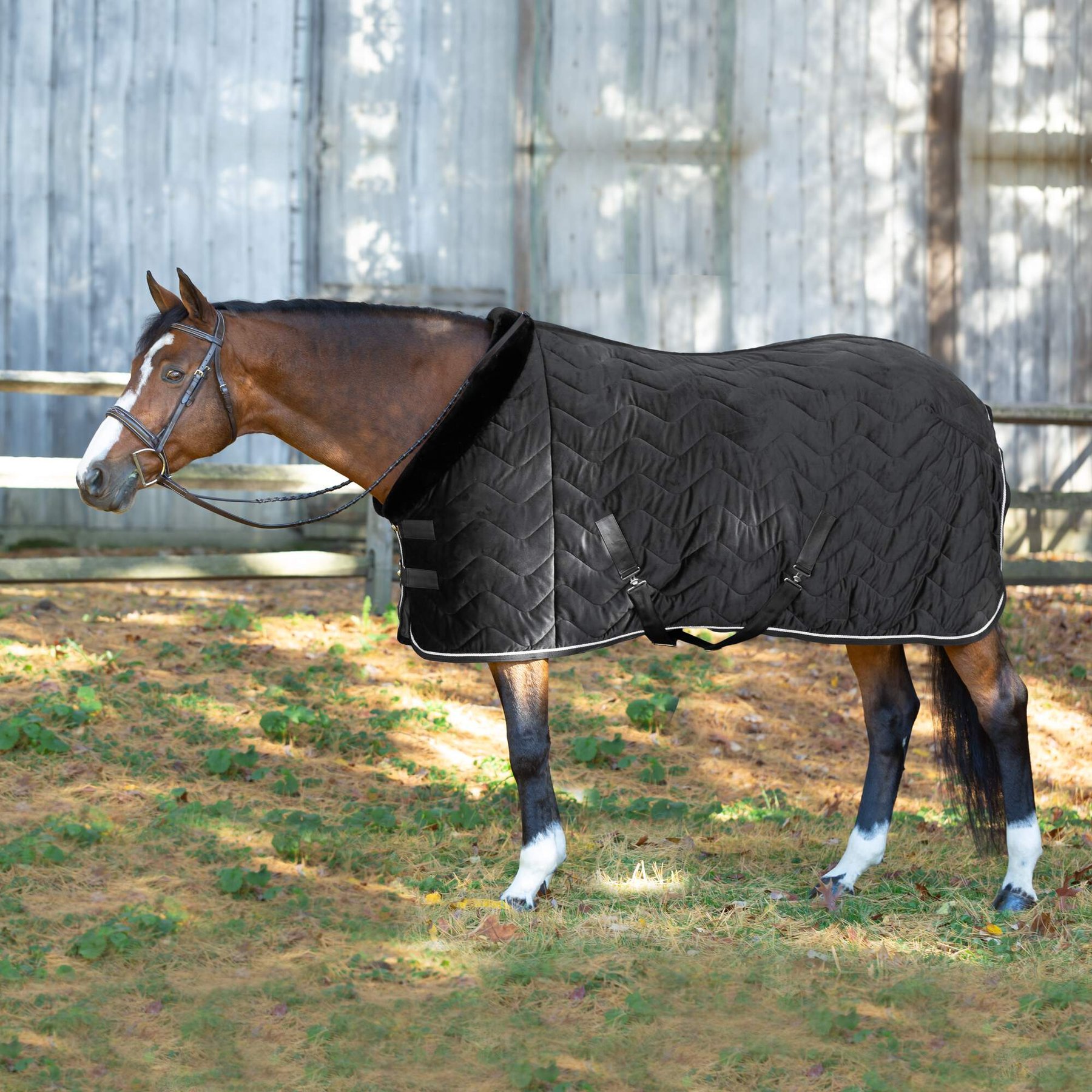 Equinavia Luksus Premium Cooler Horse Sheet, Black, 82-in