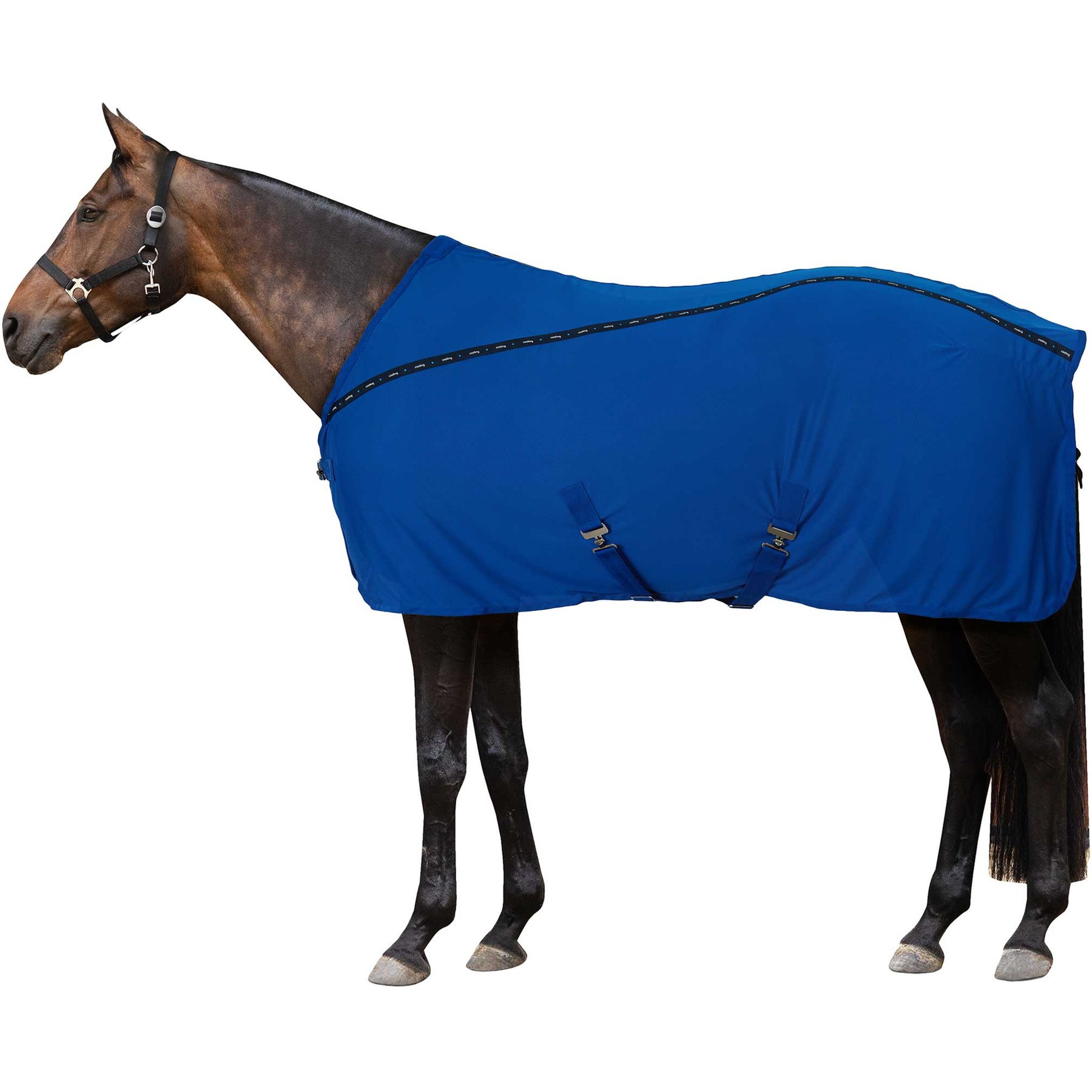 Horze Cool-Tech Cooling Horse Sheet, Odyssey Navy, 66-in