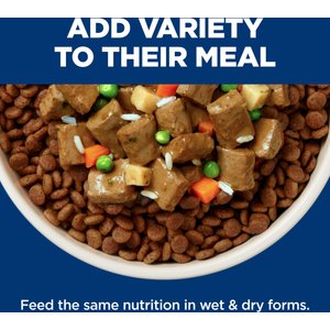 Hill's Science Diet Adult Perfect Weight Management Hearty Vegetables & Salmon Stew Wet Dog Food, 12.5-oz can, 12 count