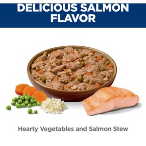 Hill's Science Diet Adult Perfect Weight Management Hearty Vegetables & Salmon Stew Wet Dog Food, 12.5-oz can, 12 count