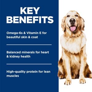 Hill's Science Diet Adult Perfect Weight Management Hearty Vegetables & Salmon Stew Wet Dog Food, 12.5-oz can, 12 count
