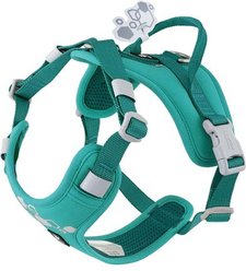Hurtta Weekend Warrior Harness II Eco Dog Harness, Peacock, 16 to 19-in chest
