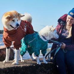 Hurtta Mudventure ECO Dog Raincoat, Peacock, 18M slide 2 of 5