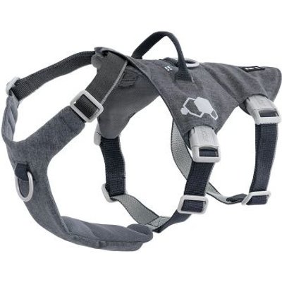 Hurtta Hurtta Safeguard Dog Harness, Blackberry, 21 to 27-in chest