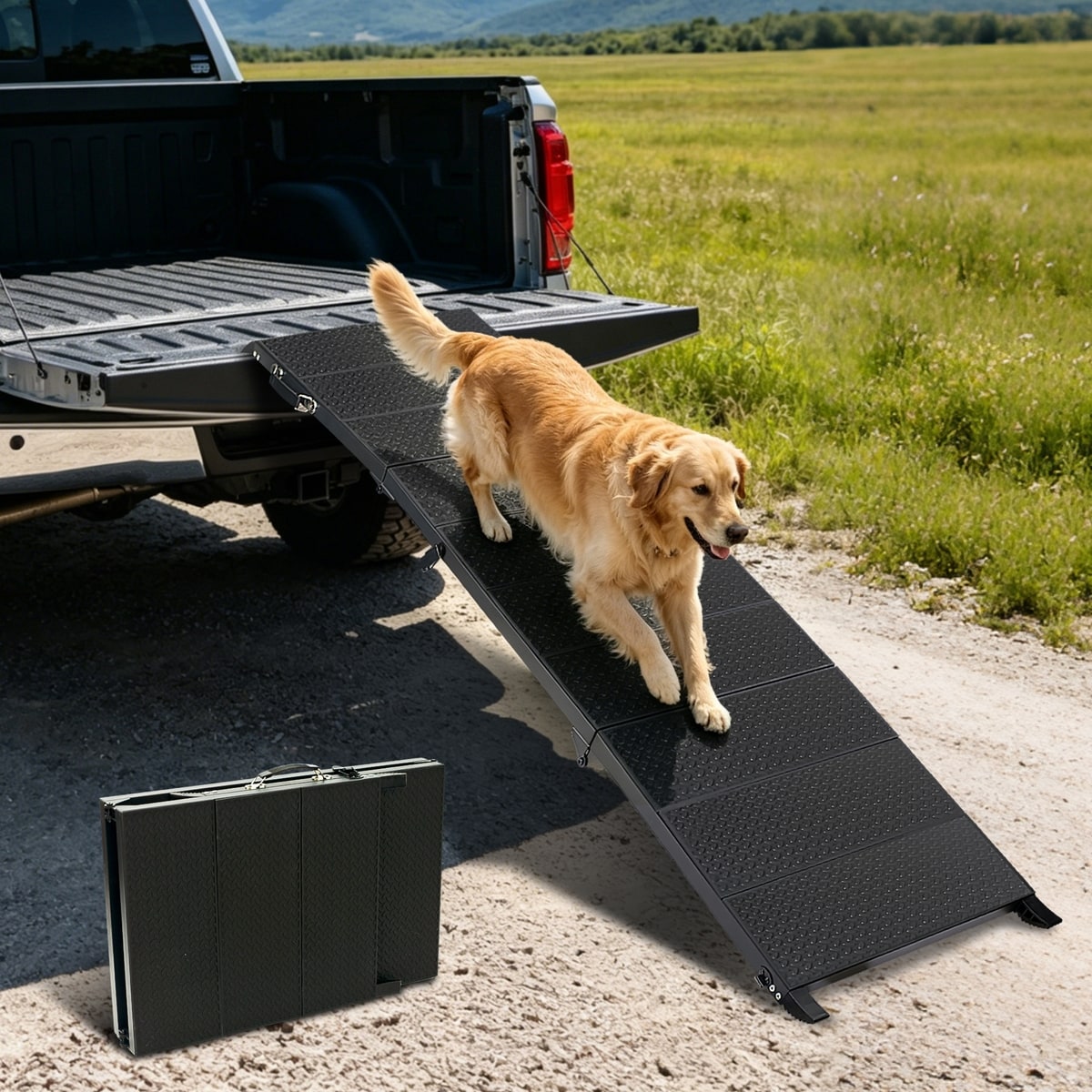Moe Ramp NIUBYA Long Folding Collapsible Dog Car Ramp, Black, 71-in - Chewy.com