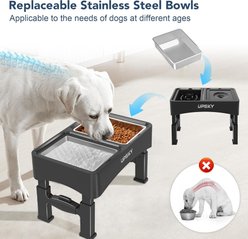 UPSKY Modern Dishwasher Safe Stainless Steel Dog Bowl, Silver, 5-cup, 2 count slide 2 of 5