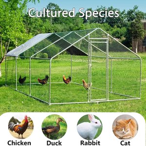 Hittite Metal Outdoor Chicken Coop with Waterproof & Anti-UV Cover, 19.19 x 9.84 x 6.56-ft