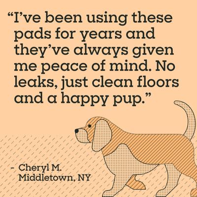 Show full view: Pet Life Unlimited Charcoal Dog Pee Pads, XX-Large: 29.5 x 35-in, 15 count, Unscented slide 9 of 9