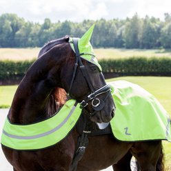 Horze Reflective Horse Harness, Yellow, Horse slide 2 of 4
