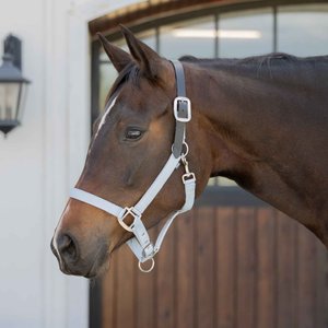 Equinavia Loki Horse Breakaway Halter, Sweet Blue, Horse