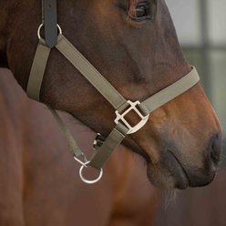 Equinavia Loki Horse Breakaway Halter, Light Olive, Cob slide 2 of 4