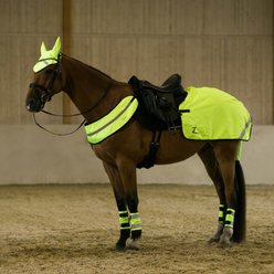 Horze Reflective Horse Harness, Yellow, Pony slide 2 of 4