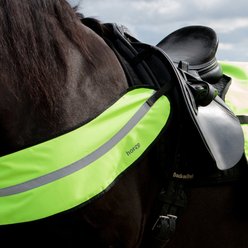 Horze Reflective Horse Harness, Yellow, Pony