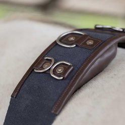 Equinavia Saga Horse Lunge Surcingle, Chocolate Brown/Navy, Horse slide 2 of 6