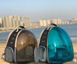 Halinfer Polarized Bubble Window Airline Approved Carry Bag Small Puppy & Cat Carrier Backpack with Front Extension, Large, Tint Blue slide 2 of 6