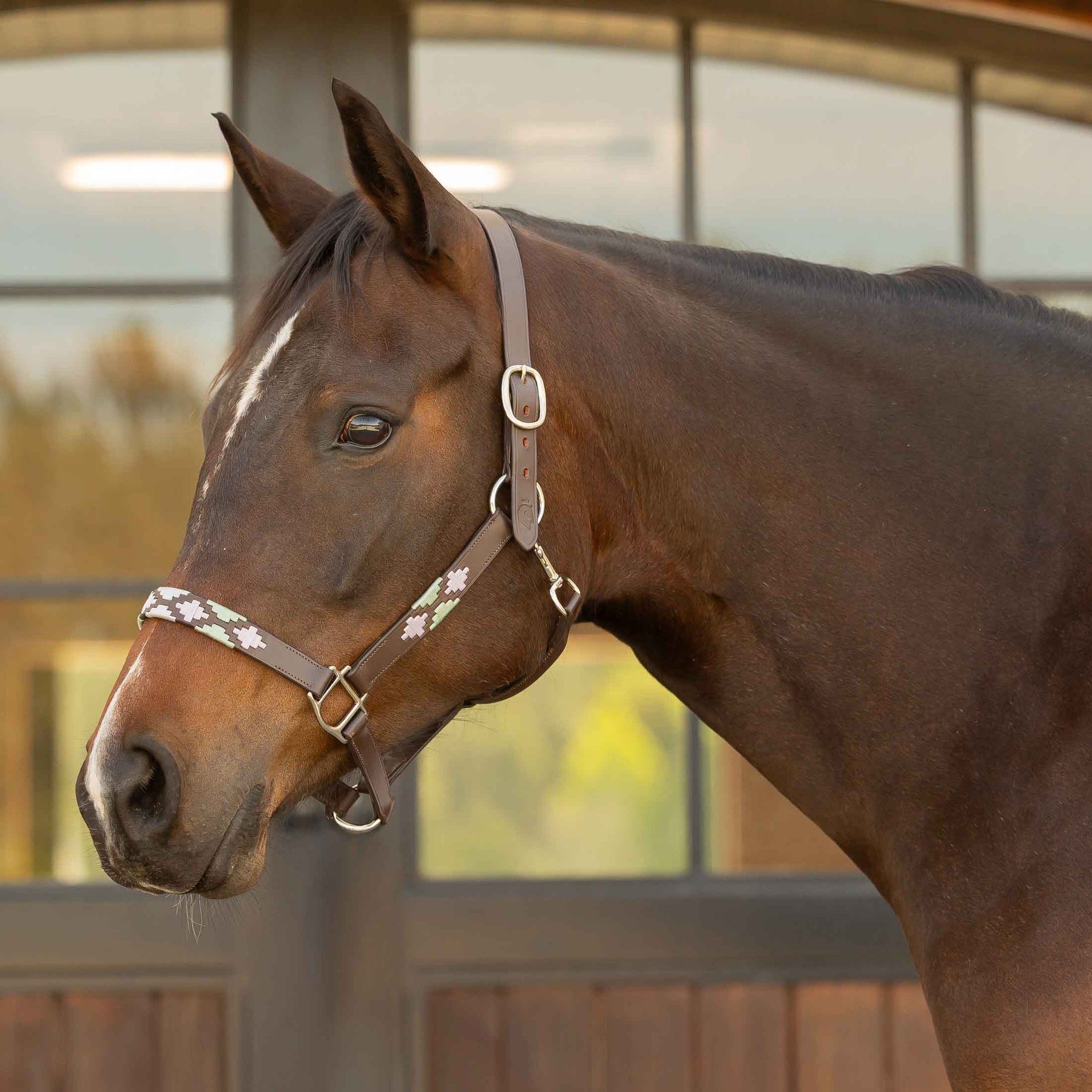 Equinavia Siri Polo Leather Horse Halter, Brown/Lavender/Misty Jade, Warmblood